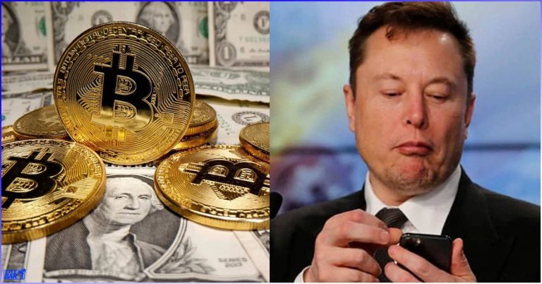 Elon Musk lost dollars from cryptocurrency and technology companies